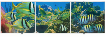 Экран под ванну Comfort Alumin рисунок 3D 1,5х0,5м Коралловый риф