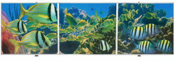 Экран под ванну Comfort Alumin рисунок 3D 1,7х0,5м Коралловый риф